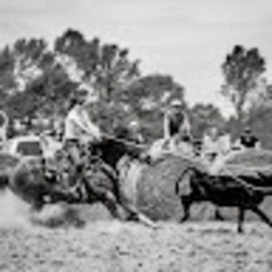 Meet your Posher, Kaylee